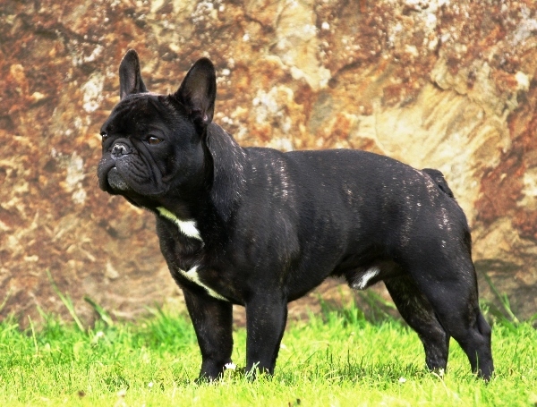 Kalle2jahre-4a