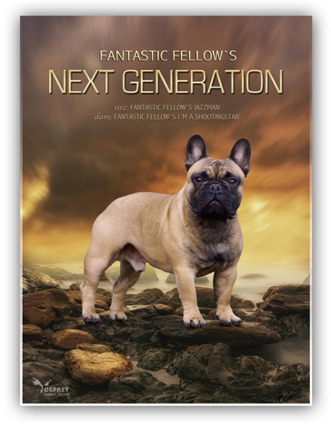Next Generation card 01a