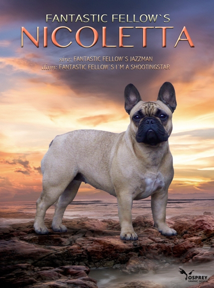 Nicoletta card 1a