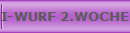 I-WURF 2.WOCHE