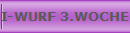 I-WURF 3.WOCHE