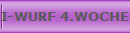 I-WURF 4.WOCHE