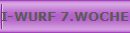 I-WURF 7.WOCHE