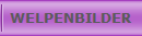 WELPENBILDER