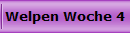 Welpen Woche 4