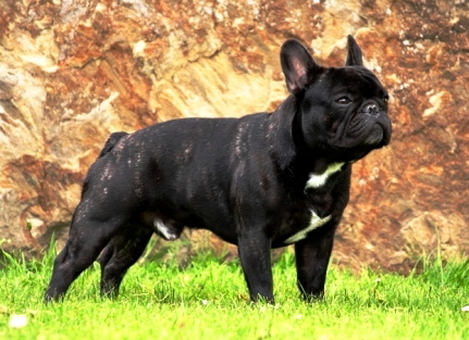Kalle2jahre-1a