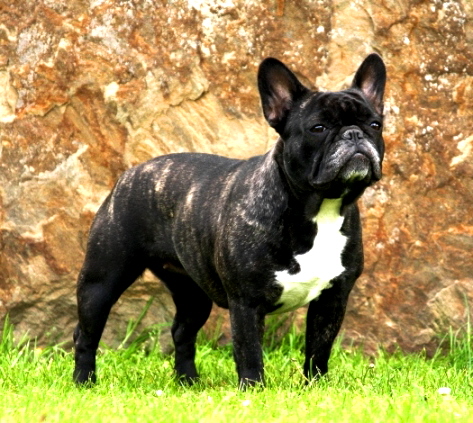 Smilla2jahre-2a