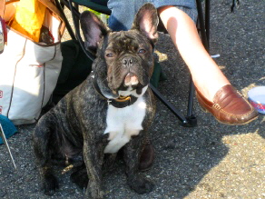  bruno3-3