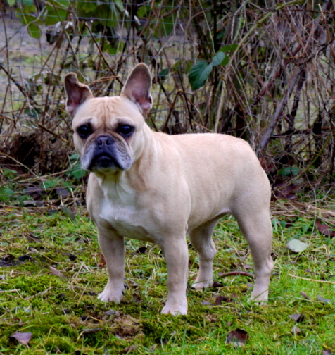 abby9jahre2a02