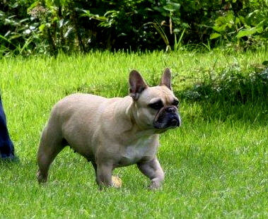 abby 7jahre 