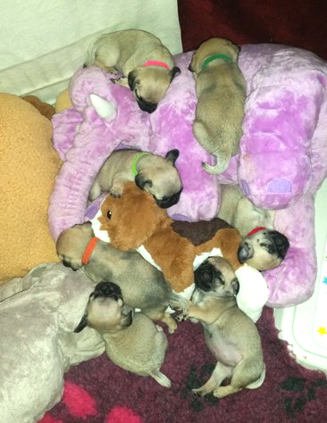 alle woche 6-6a