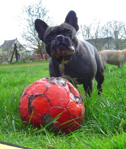 ball1a02