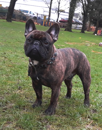 ben1,5 jahre-3a