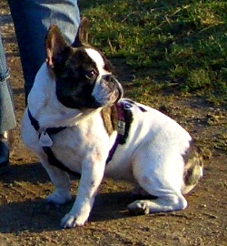 coco1303