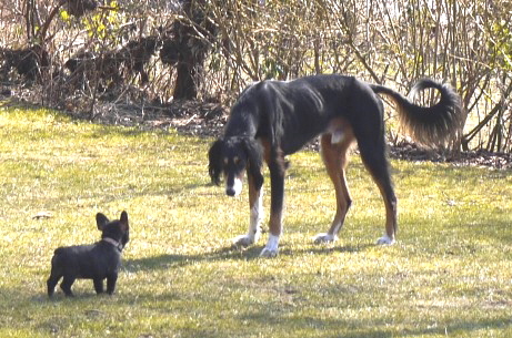 grundst�ck tag59-10a