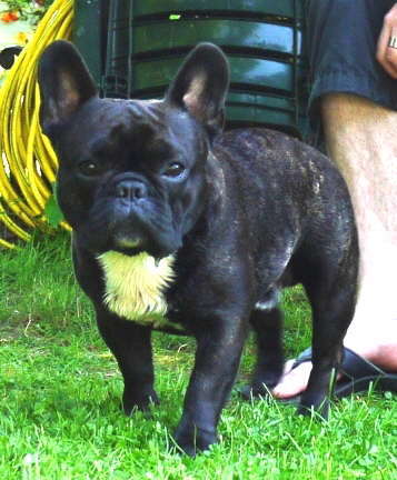 jake-3a