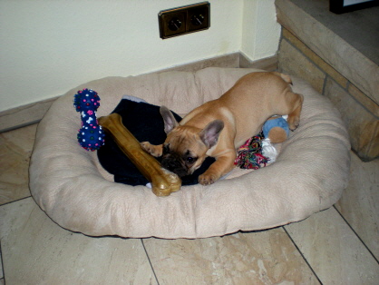 josy9