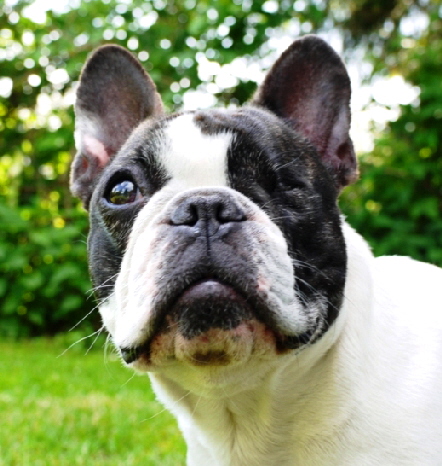 jule 6jahre-1