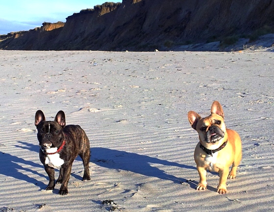 lou-lou urlaub-1a