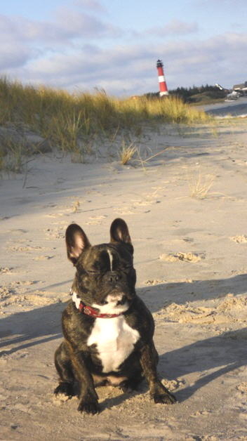 lou-lou urlaub-2a