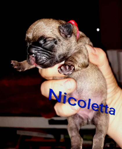 nicoletta tag2-2