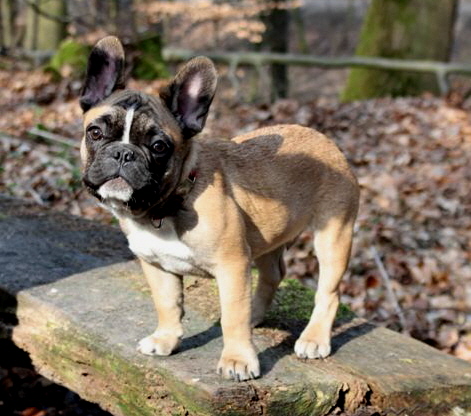 oscar4monate13