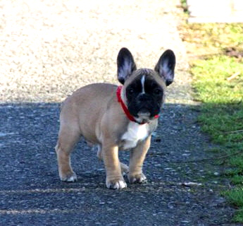 oscar 10wochen-2