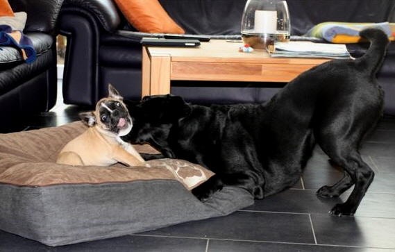 oscar 10wochen-3
