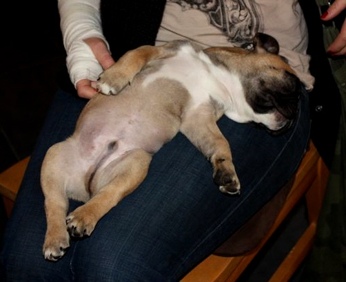 oscar 10wochen-7