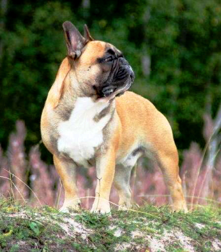 oscar 9monate-1a