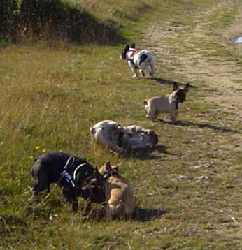 spielen26