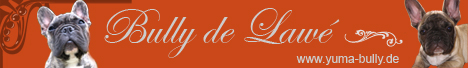 banner-de-lawe