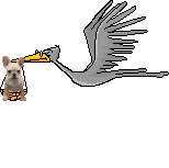 bullystorch