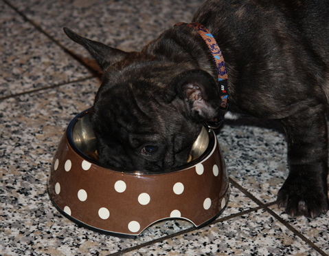 cooper-4
