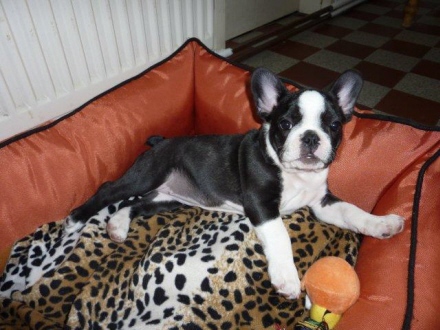 emma4-5