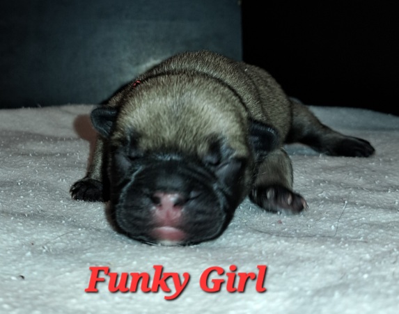 funky girl-1a