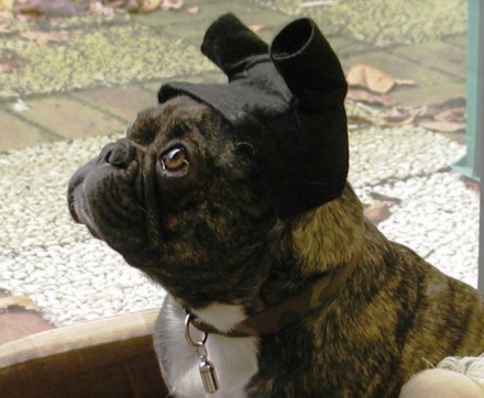 pumba2c