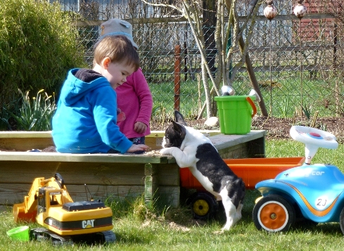 rudi 11wochen-2a
