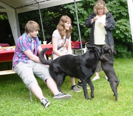 welpentreffen2012-16a
